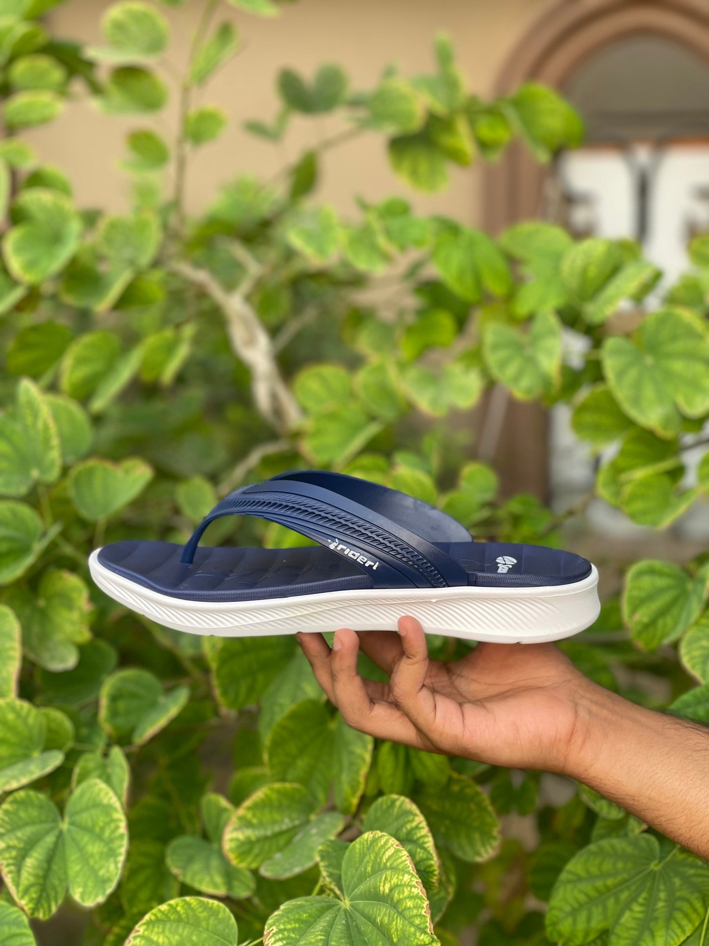 Olee Four Season Slides