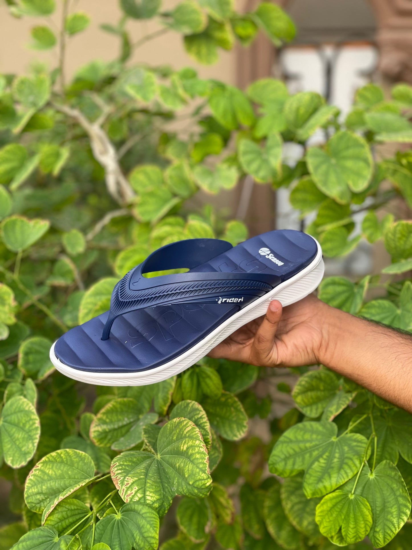 Olee Four Season Slides