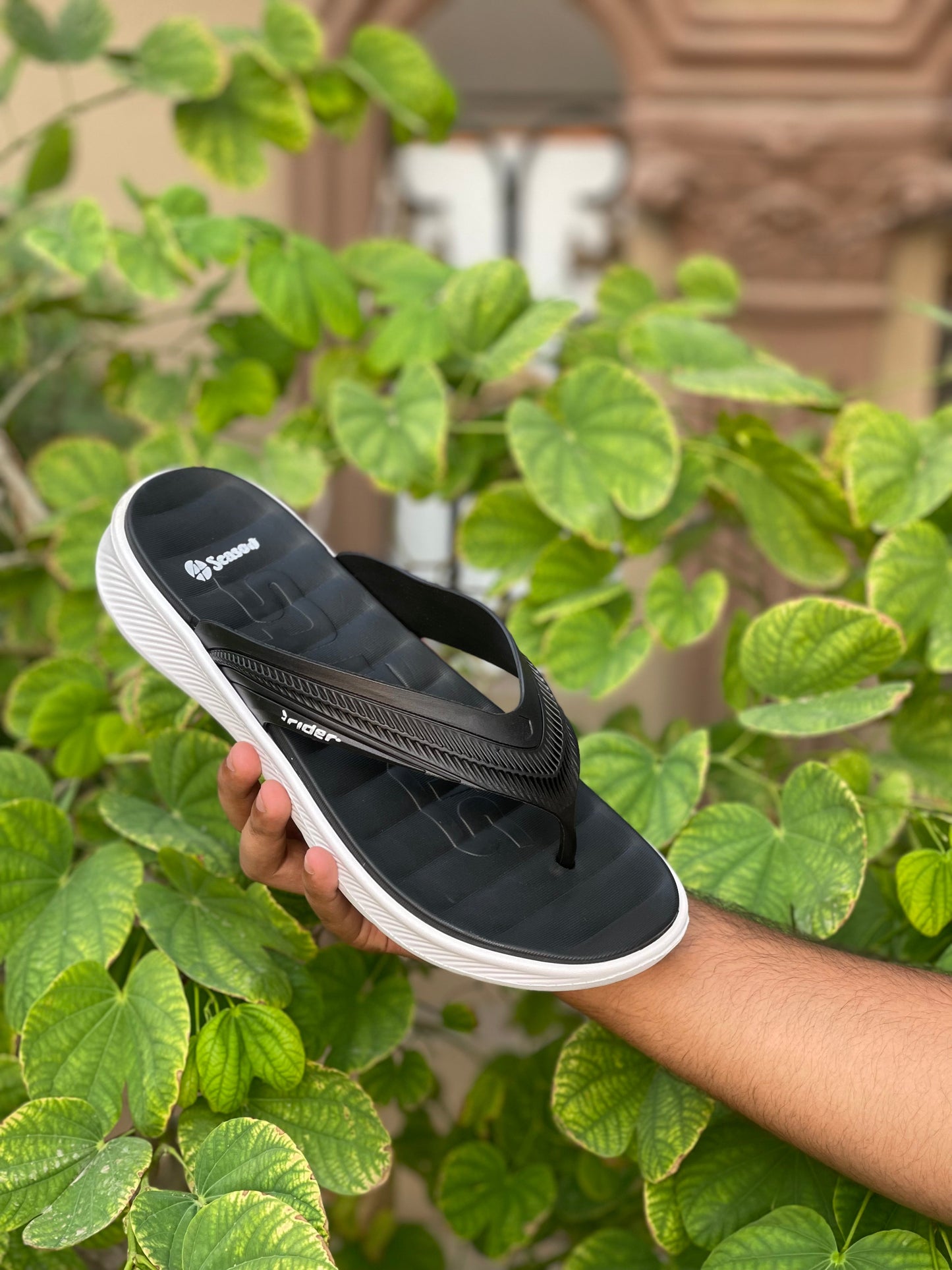 Olee Four Season Slides