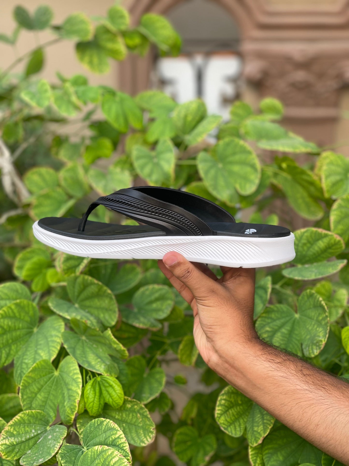 Olee Four Season Slides